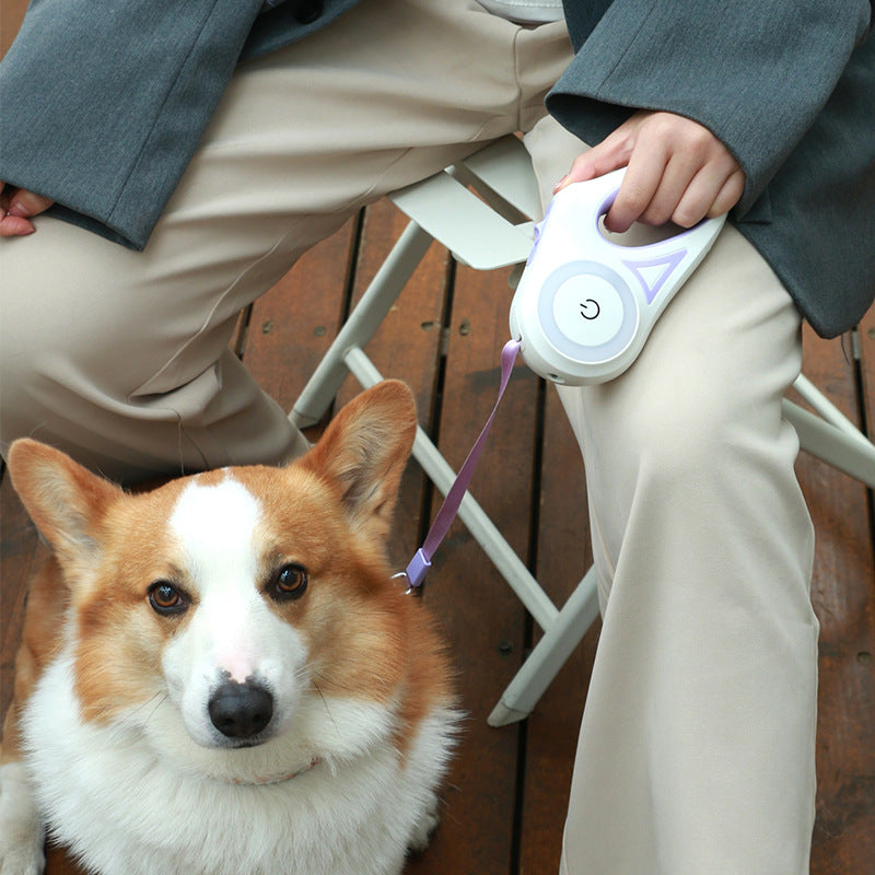 Ultimate Retractable Dog Leash & Collar Set - Perfect for Small to Medium Dogs!