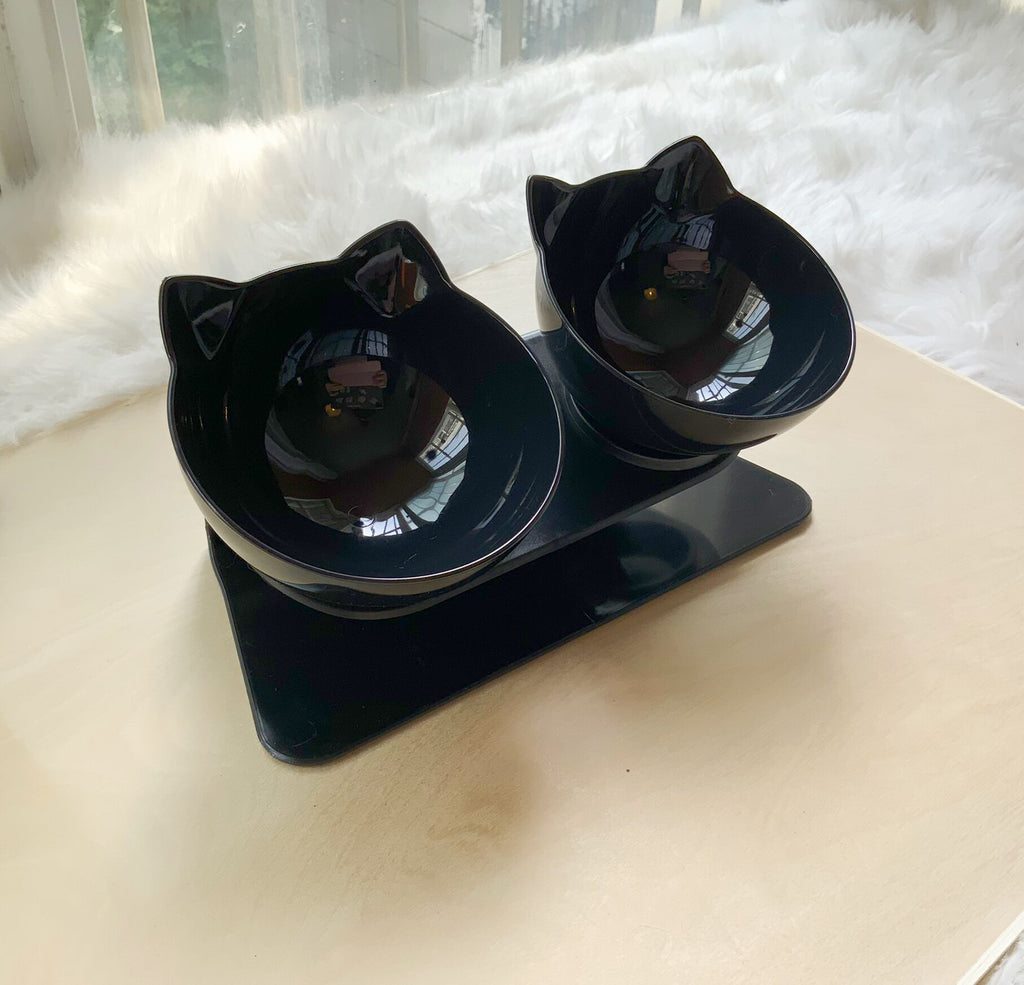 Elevated Cat Feeder Stand with Clear Bowl for Comfortable Dining
