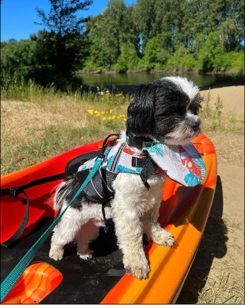Professional Pet Life Vest Swimming Clothes Dog Outdoor Supplies Large Dog Buoyancy Swimsuit