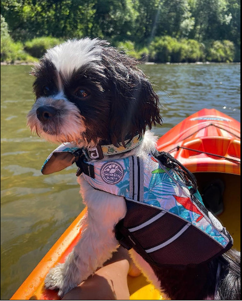 Professional Pet Life Vest Swimming Clothes Dog Outdoor Supplies Large Dog Buoyancy Swimsuit
