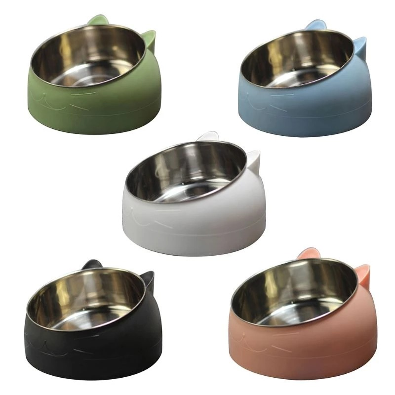 Ergonomic Tilted Pet Feeding Bowl