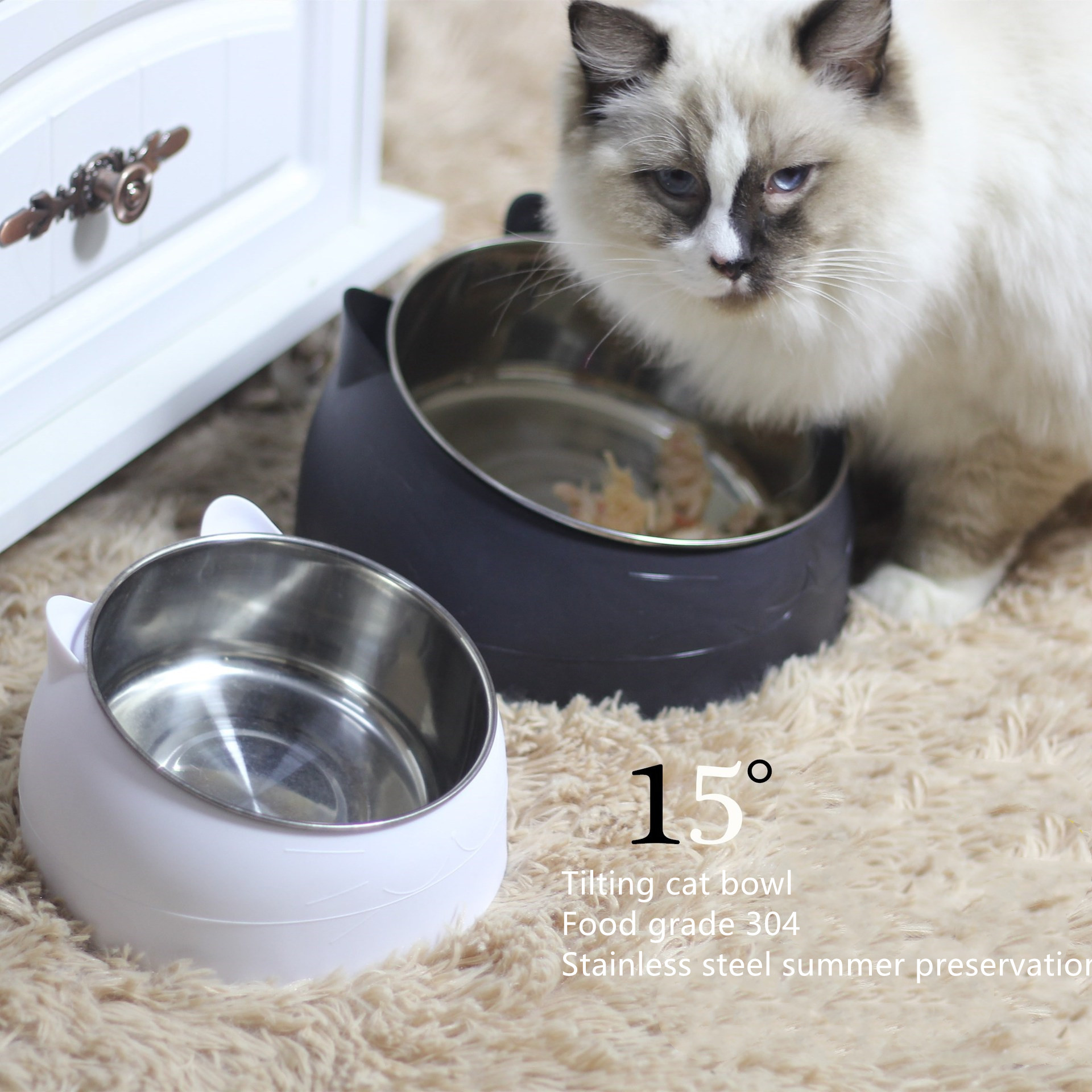 Ergonomic Tilted Pet Feeding Bowl