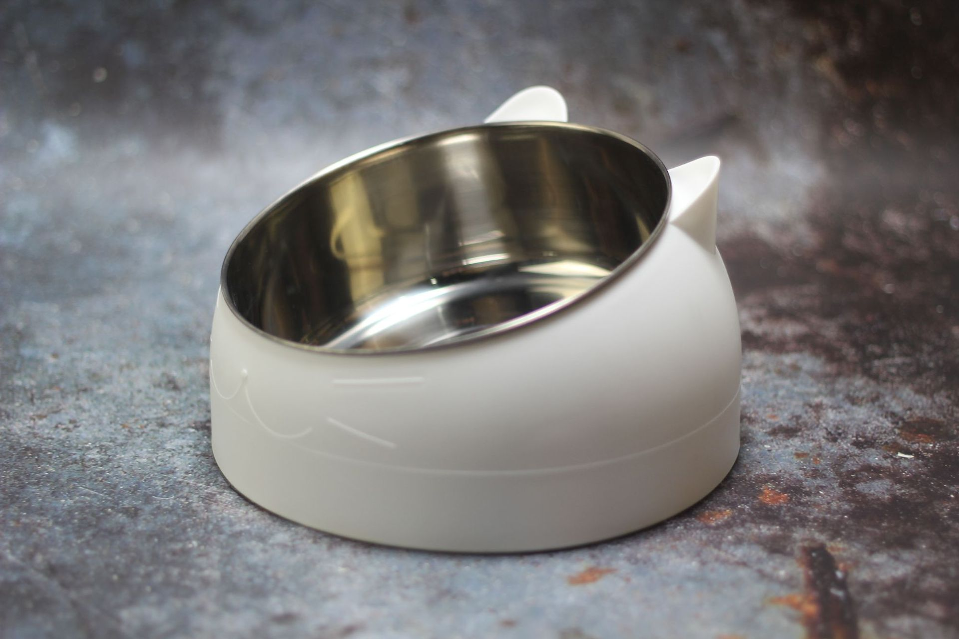 Ergonomic Tilted Pet Feeding Bowl