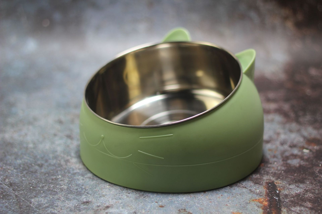 Ergonomic Tilted Pet Feeding Bowl