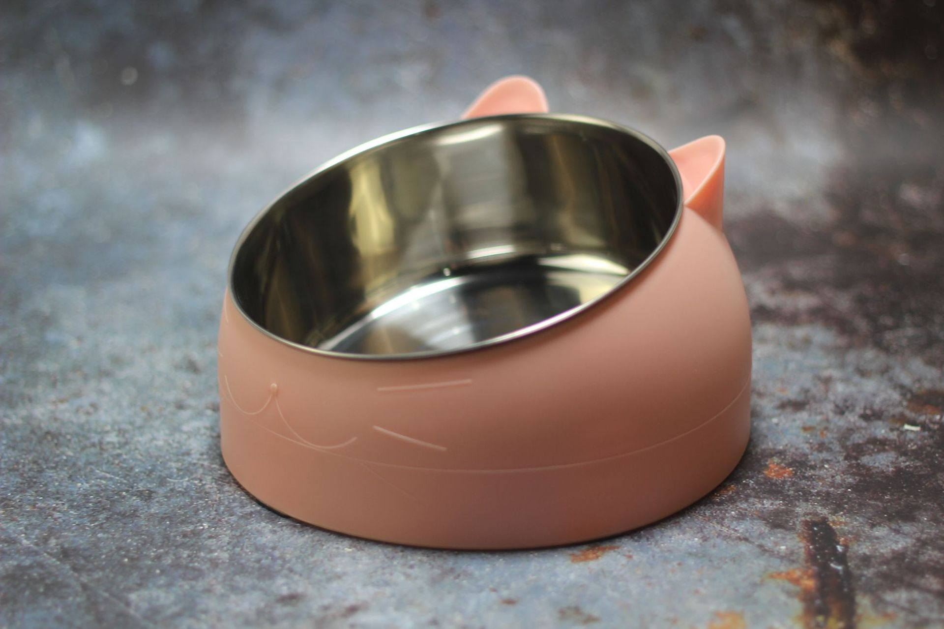 Ergonomic Tilted Pet Feeding Bowl
