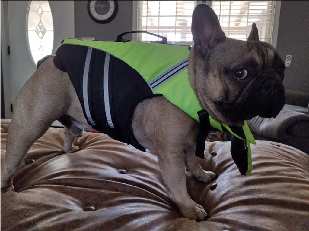 Professional Pet Life Vest Swimming Clothes Dog Outdoor Supplies Large Dog Buoyancy Swimsuit