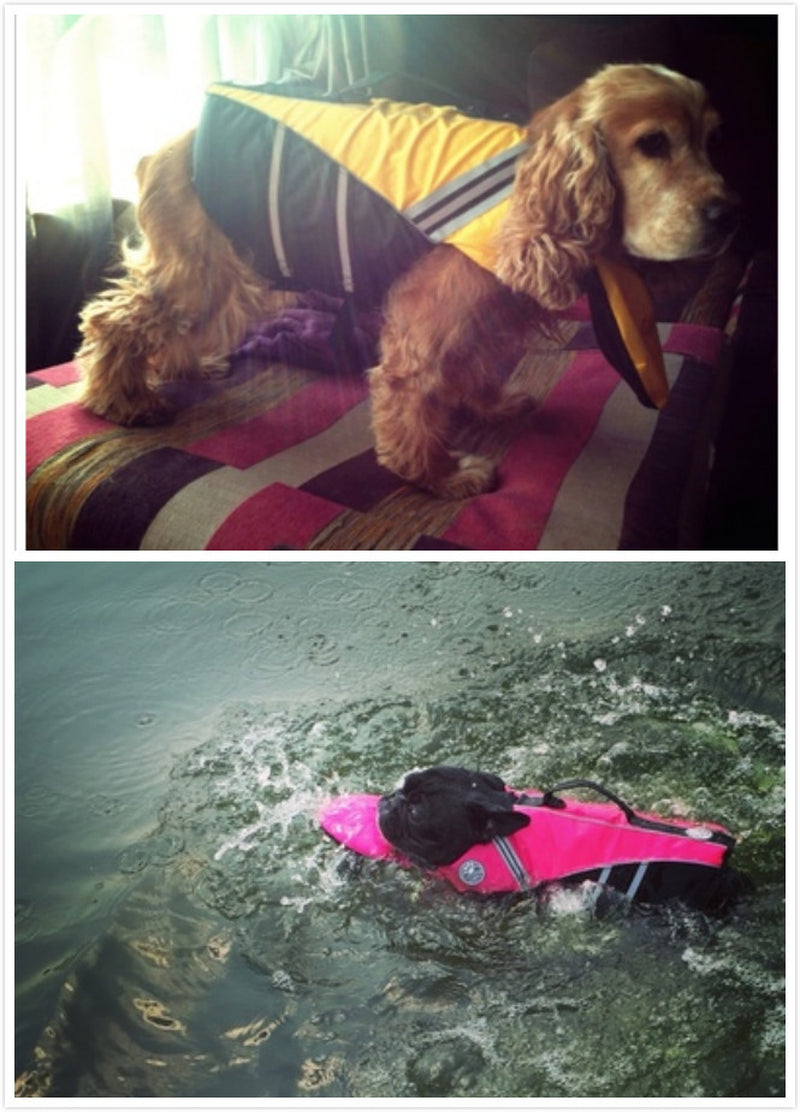 Professional Pet Life Vest Swimming Clothes Dog Outdoor Supplies Large Dog Buoyancy Swimsuit